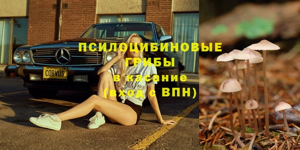стаф Алексеевка