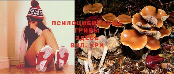 тгк Алексин